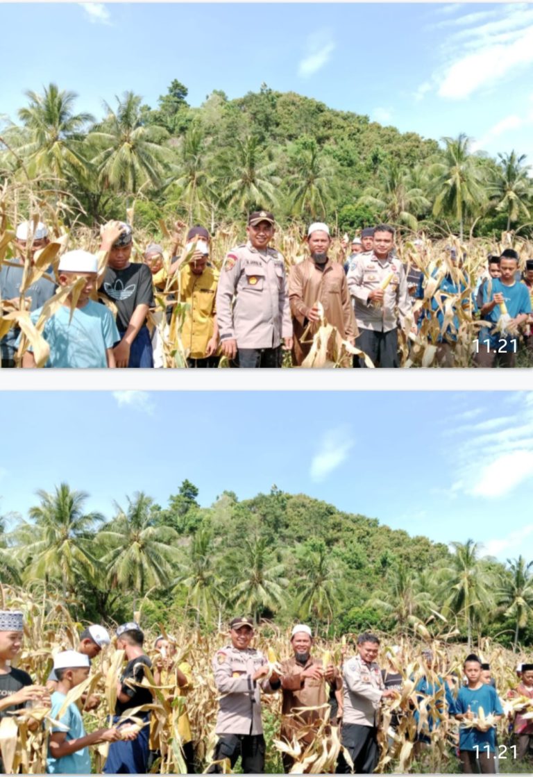 Screenshot_20251127_112433_WhatsApp