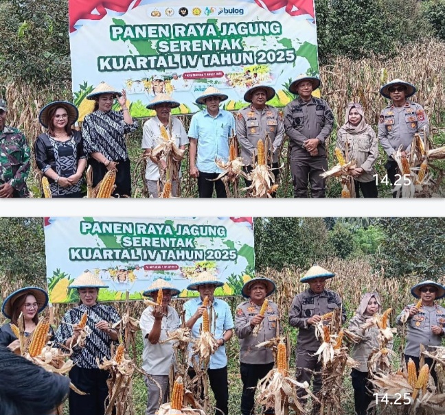 Screenshot_20260108_142537_WhatsApp