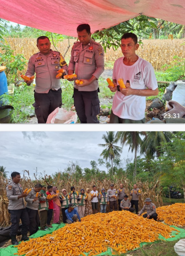 Screenshot_20260109_001130_WhatsApp