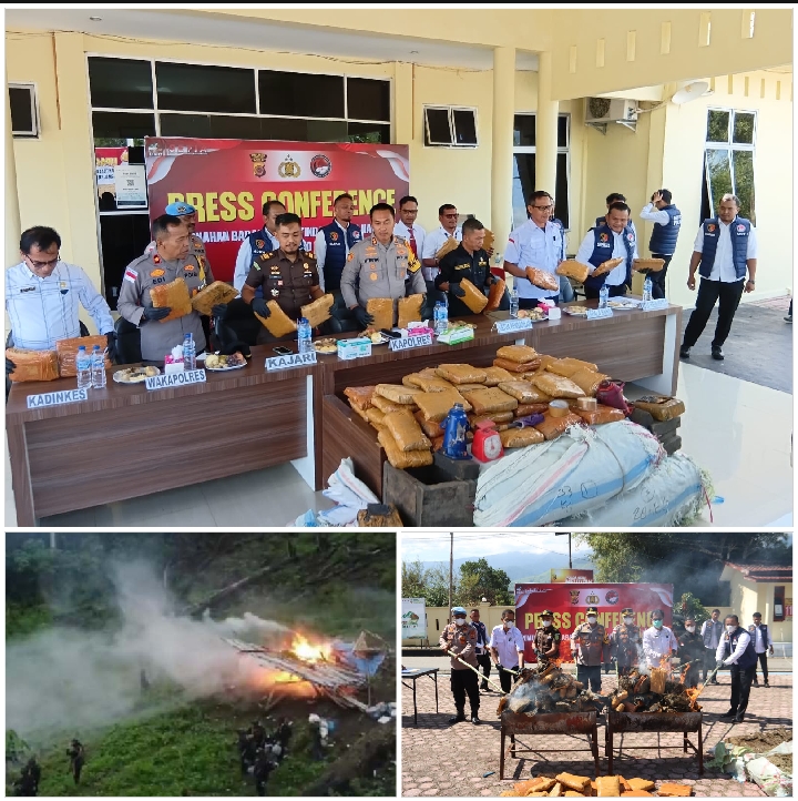 Screenshot_2026-02-12-19-35-54-28