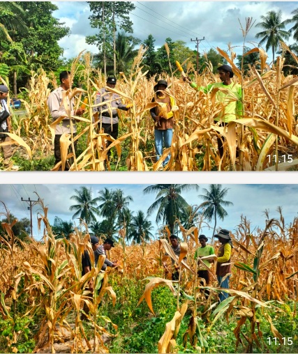 Screenshot_20260209_111655_WhatsApp