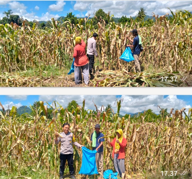 Screenshot_20260406_173748_WhatsApp