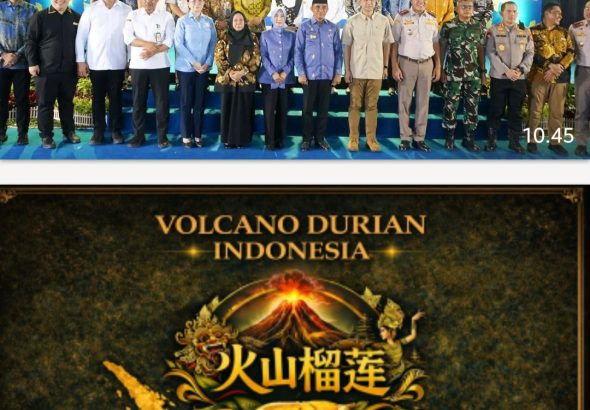 Screenshot_20260417_111534_WhatsApp