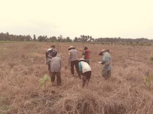 Komitmen Polri dalam mendukung program ketahanan pangan nasional terus diwujudkan melalui aksi nyata di tengah masyarakat. Salah satunya dilakukan Polsek Sausu, Polres Parigi Moutong, dengan mendampingi kegiatan penanaman jagung di lahan seluas satu hektare di Desa Malakosa, Kecamatan Sausu, Jumat (3/7/2026).
